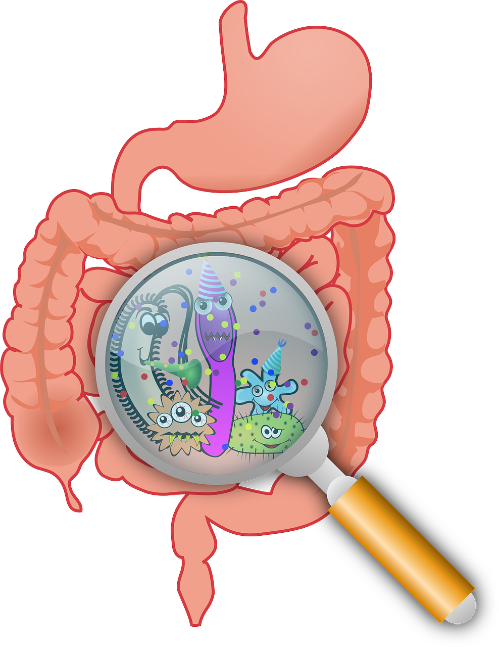Afbeelding Een probioticagids voor antibiotica-gerelateerde diarree in Nederland