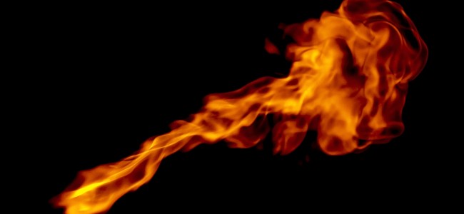 Afbeelding Voedingstherapie bij brandwondpatiënten