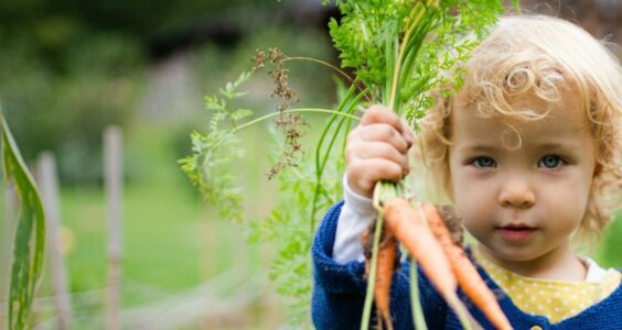Afbeelding voor Voedingscentrum duidt uitzending over babyvoeding en bestrijdingsmiddelen