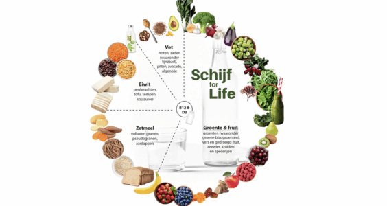 Afbeelding voor Achtergrond van de Schijf for Life