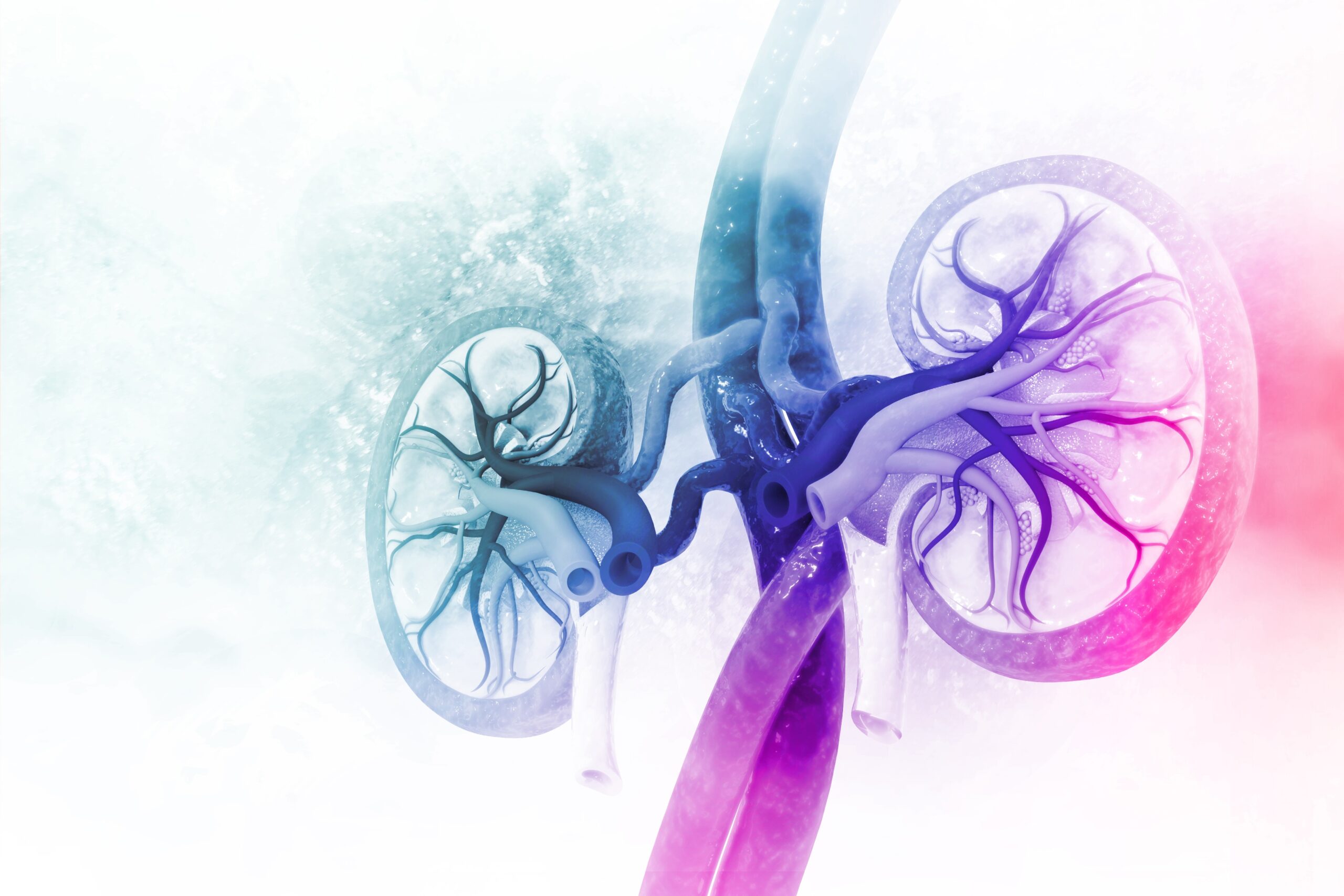 Afbeelding Bio-impedantiemethodes na niertransplantatie