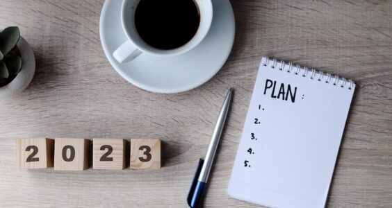 Afbeelding voor Jaarplan NVD 2023 –  highlights