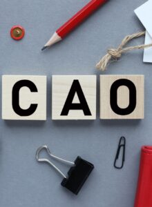 Afbeelding voor Cao’s VVT, GGZ, Ziekenhuizen en Gehandicaptenzorg nu definitief