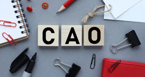 Afbeelding voor Cao’s VVT, GGZ, Ziekenhuizen en Gehandicaptenzorg nu definitief