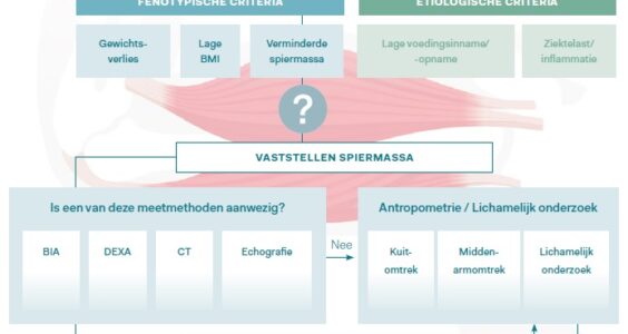 Afbeelding voor GLIM-criteria voor vaststellen ondervoeding: waar staan we?