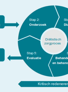 Afbeelding voor Nieuwe NVD-richtlijn Diëtistische dossiervoering