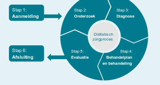 Afbeelding voor Nieuwe NVD-richtlijn Diëtistische dossiervoering