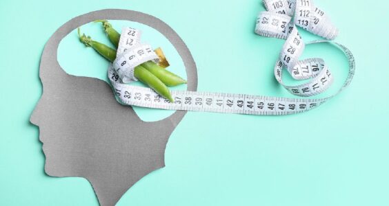 Afbeelding voor Studie naar relatie tussen hersengebied en hedonisch eetgedrag