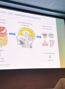 Afbeelding voor De hersenen als ‘regisseur’ van ons eetgedrag