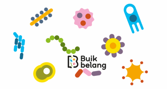 Afbeelding voor Samenwerking NVD en Buikbelang