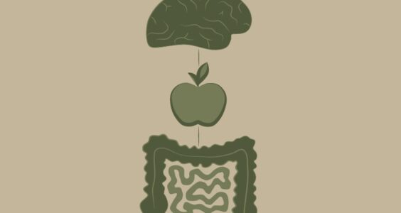 Afbeelding voor De invloed van voeding en het microbioom op ADHD en reactieve agressie