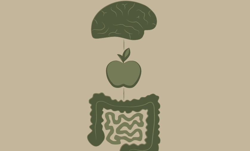 Afbeelding De invloed van voeding en het microbioom op ADHD en reactieve agressie