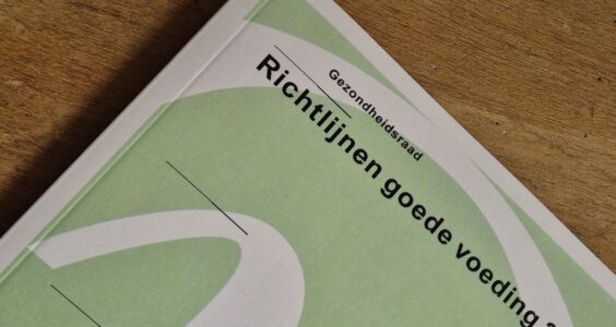 Afbeelding voor Advies Richtlijnen goede voeding 2025 in de maak