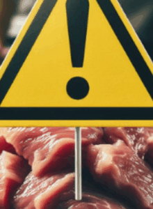 Afbeelding voor Standpunt carnivoor dieet