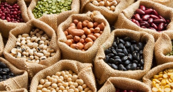 Afbeelding voor Gezondheidsraad legt meer nadruk op belang van plantaardige voeding